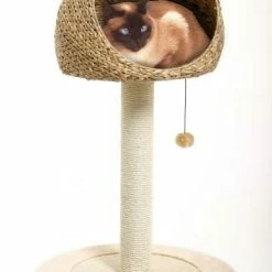 Karlie Kratzbaum Banana-Leaf II, 56x93 cm - Hochwertiger Kratzbaum für Katzen