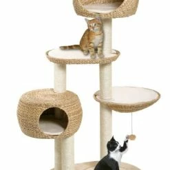 Karlie Kratzbaum Banana-Leaf III, 103x58x158cm - Premium Kratzbaum für Katzen