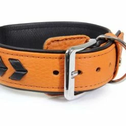 Das Lederband GRANADA | Premium Hundehalsband aus echtem Leder | Strapazierfähig & Stylisch