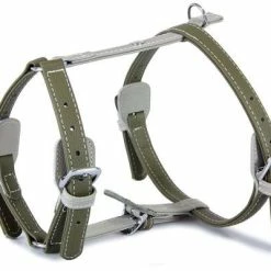 Das Lederband AMSTERDAM Hundegeschirr | Premium Leder Hundegeschirr für Hunde | Strapazierfähig & Bequem