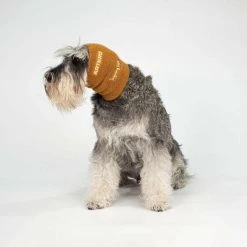 ARTERO Ohrenschutz Set für Hunde – Schutz vor Schmutz und Wasser