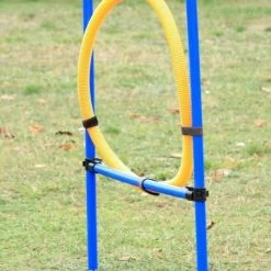 DIGGAR® Agility Set | Sprungring für Hundesport | Hochwertiges Hundetraining-Set