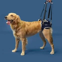 Balto Hip Dysplasie Brace | Orthopädisches Hundegeschirr für Hüftgelenkunterstützung