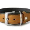 Das Lederband AMSTERDAM | Premium Hundehalsband aus echtem Leder | Strapazierfähig & Stylisch