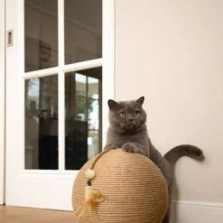Karlie Kratzball BALTY | Design von Lotte | Kratzball für Katzen | Hochwertiger Katzenspielzeug