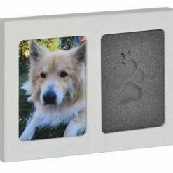 FSG Pet-Imprint | Abdruckschaum Für Tiere - Ideal für Hunde und andere Haustiere