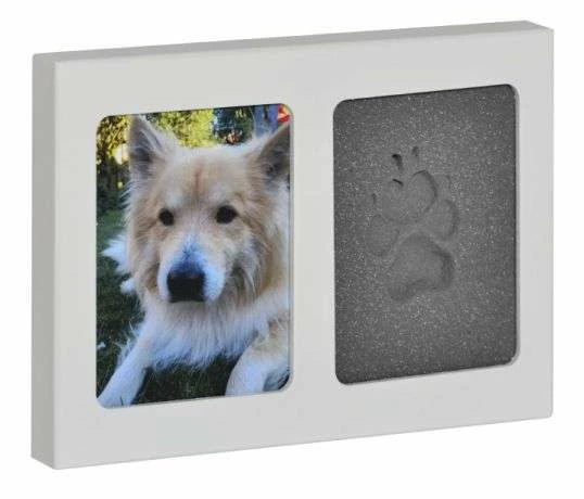 FSG Pet-Imprint | Abdruckschaum Für Tiere - Ideal für Hunde und andere Haustiere 1 FSG Pet-Imprint | Abdruckschaum Für Tiere - Ideal für Hunde und andere Haustiere