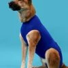 KVP Recova Shirt | Body für Hunde | Atmungsaktiv & Hautfreundlich | Hundebekleidung für Kleine bis Große Hunde