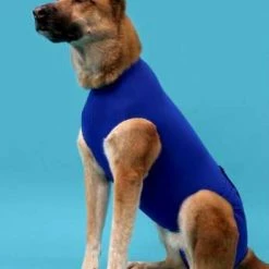 KVP Recova Shirt | Body für Hunde | Atmungsaktiv & Hautfreundlich | Hundebekleidung für Kleine bis Große Hunde