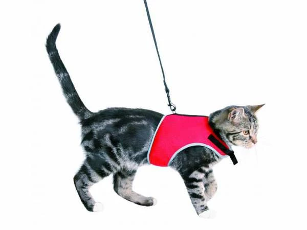 Trixie Softgeschirr Mit Leine für Katzen | Bequem & Sicher | Katzenbedarf 1 Trixie Softgeschirr Mit Leine für Katzen | Bequem & Sicher | Katzenbedarf