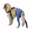 VetMedCare SAFETY PANTS für Hündinnen und Rüden | Hundebekleidung für Sicherheit und Komfort