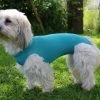 VetMedCare DOG BODY Mit Beinen | Hundebekleidung für Hündinnen und Rüden | Atmungsaktiv & Bequem