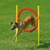 Karlie Agility Reifen-Set für Hunde – Hochwertiges Agility-Trainingsset für aktive Hunde