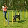 Karlie Agility Slalom-Set für Hunde | Professionelles Hundetraining | Agility-Set für Anfänger & Fortgeschrittene