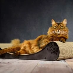 Cat-On Le Divan Katzenmöbel - Luxus Katzen-Schlafplatz aus Pappe | 750 x 140 x 325 mm