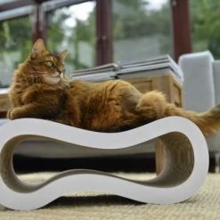 Cat-On Singha M Katzenhöhle | 620 x 240 x 260 mm | Papphöhle für Katzen | Katzenmöbel & Schlafplatz