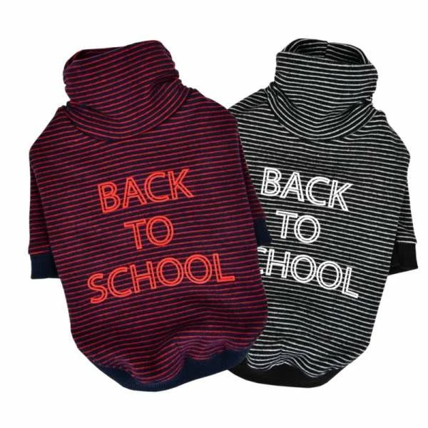 Puppia ® Back To School Hundepullover - Gemütlicher und stylischer Pullover für Hunde 1 Puppia ® Back To School Hundepullover - Gemütlicher und stylischer Pullover für Hunde