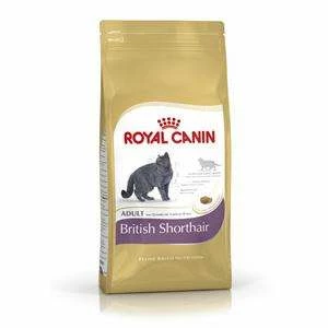 ROYAL CANIN British Shorthair Trockenfutter - Speziell für Britisch Kurzhaar Katzen 1 ROYAL CANIN British Shorthair Trockenfutter - Speziell für Britisch Kurzhaar Katzen