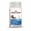 ROYAL CANIN Indoor Longhair 35 Trockenfutter für Langhaarkatzen - 3,5 kg