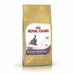 ROYAL CANIN Kitten Trockenfutter für British Kurzhaar - Hochwertiges Katzenfutter für junge Katzen