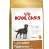 ROYAL CANIN Labrador Retriever Trockenfutter für kastrierte Hunde - Speziell abgestimmt auf die Bedürfnisse von Labrador Retrievern