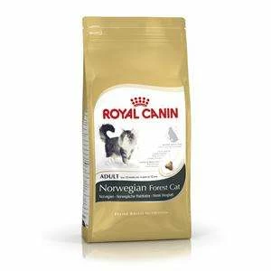 ROYAL CANIN Norwegische Waldkatze Trockenfutter - Speziell für Norwegische Waldkatzen 1 ROYAL CANIN Norwegische Waldkatze Trockenfutter - Speziell für Norwegische Waldkatzen