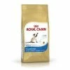 ROYAL CANIN Siamese 38 Trockenfutter für ausgewachsene Siamesen - 1,5 kg