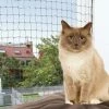 Trixie Schutznetz Drahtverstärkt Oliv-grün - Robustes Katzenschutznetz für Balkon & Garten