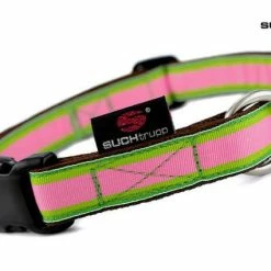 SUCHtrupp Hundehalsband Apple – Robustes & Stylisches Halsband für Hunde