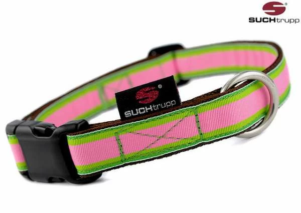 SUCHtrupp Hundehalsband Apple – Robustes & Stylisches Halsband für Hunde 1 SUCHtrupp Hundehalsband Apple – Robustes & Stylisches Halsband für Hunde