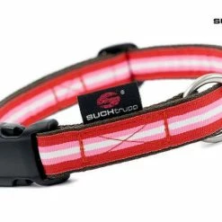 SUCHtrupp Hundehalsband Candy – Stylisches & Robustes Halsband für Hunde