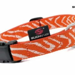 SUCHtrupp Hundehalsband Hot-Zebra – Robustes & Stylisches Halsband für Hunde