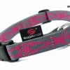 SUCHtrupp Hundehalsband Locopink – Robustes & Stylisches Halsband für Hunde