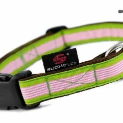 SUCHtrupp Hundehalsband Lolly – Stylisches & robustes Halsband für Hunde