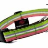 SUCHtrupp Hundehalsband Preppy – Stylisches & Robustes Halsband für Hunde