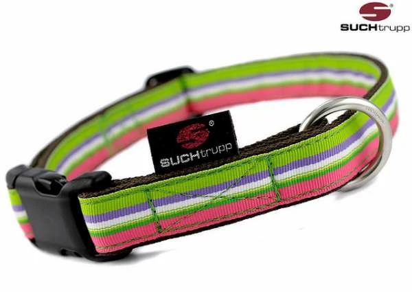 SUCHtrupp Hundehalsband Preppy – Stylisches & Robustes Halsband für Hunde 1 SUCHtrupp Hundehalsband Preppy – Stylisches & Robustes Halsband für Hunde