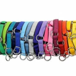 SUCHtrupp Hundehalsband Pure – Hochwertiges Halsband für Hunde | Strapazierfähig & Komfortabel