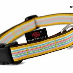 SUCHtrupp Hundehalsband Sunny – Robustes & Stylisches Halsband für Hunde